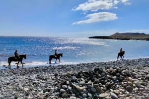 Tenerife Sul: Passeio a cavalo particular até a costa