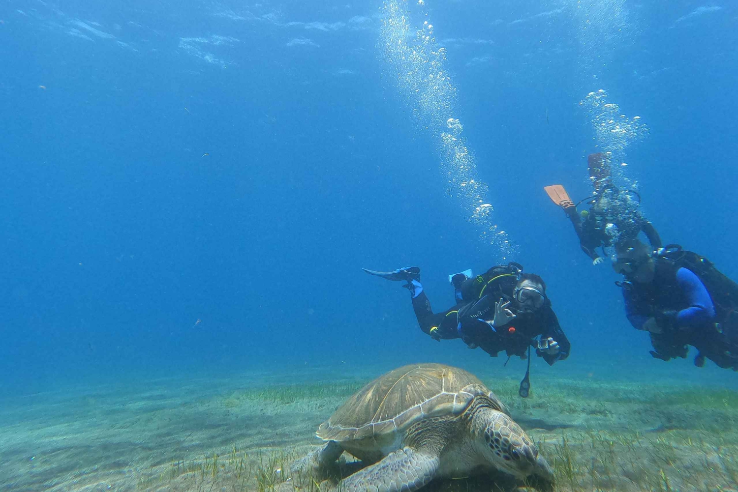 Teneriffan eteläosa: Adejessa: Sukellus aloittelijoille Adejessa.