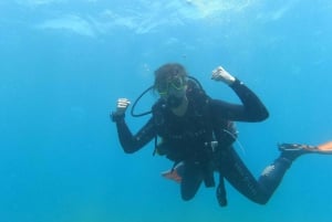 Tenerife south: Scuba Dive for beginners in Adeje