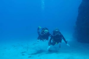 Tenerife south: Scuba Dive for beginners in Adeje