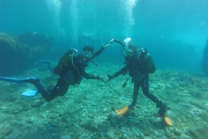 Tenerife south: Scuba Dive for beginners in Adeje