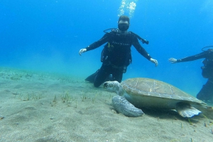 Teneriffan eteläosa: Adejessa: Sukellus aloittelijoille Adejessa.