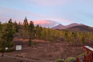 Tenerife: Sunset and Stargazing at Teide National Park