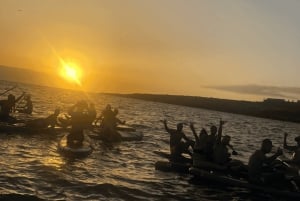 Tenerife: Stand-up paddleboarding i solnedgangen