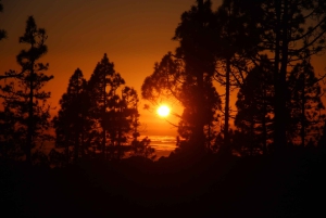 テネリフェ島：4人乗りバギーで行くサンセットツアー