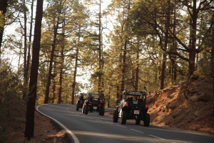 テネリフェ島：4人乗りバギーで行くサンセットツアー