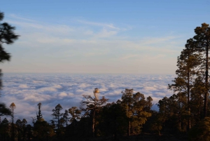 テネリフェ島：4人乗りバギーで行くサンセットツアー