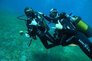 Tenerife sur: Buceo para principiantes en Adeje