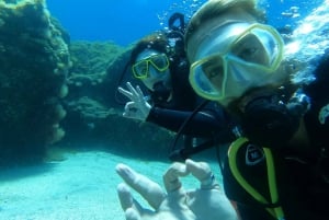 Tenerife sur: Buceo para principiantes en Adeje