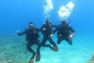 Tenerife sur: Buceo para principiantes en Adeje