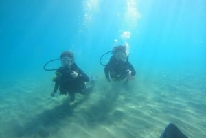 Tenerife sur: Buceo para principiantes en Adeje