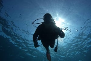 Tenerife sur: Buceo para principiantes en Adeje