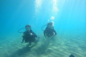 Tenerife sur: Winkel voor beginners in Adeje