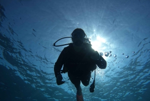 Tenerife sur: Winkel voor beginners in Adeje