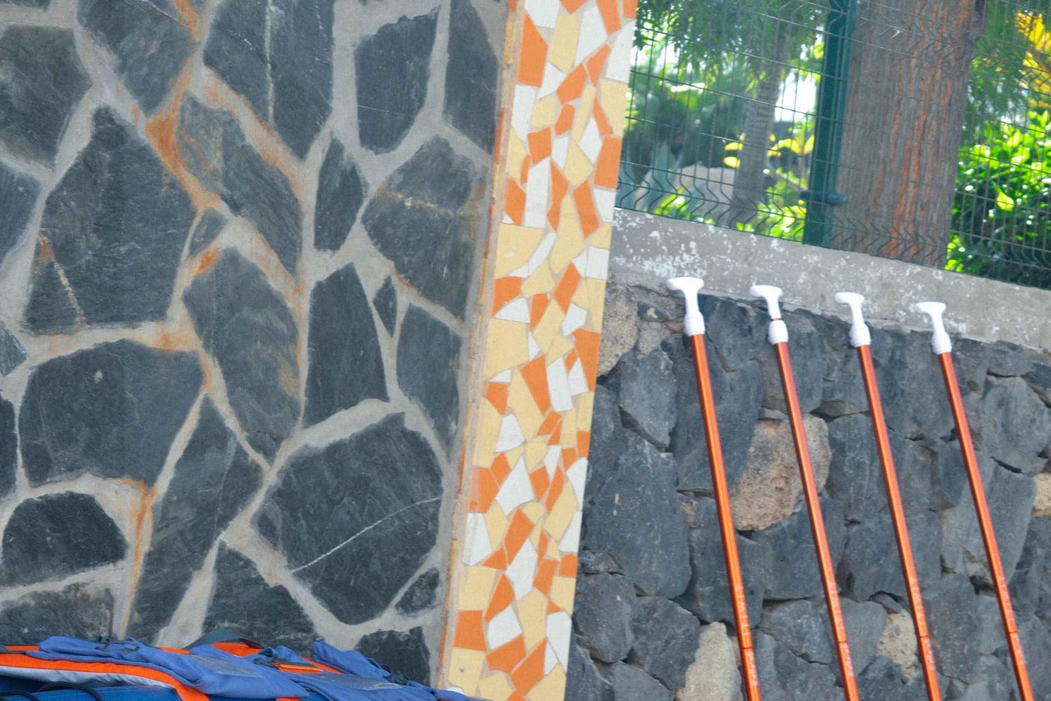 TENERIFE SUR | experiência inesquecível de SUP - SNORKELING