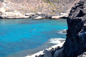 TENERIFE SUR | experiência inesquecível de SUP - SNORKELING