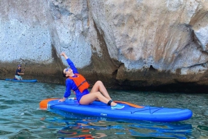 TENERIFE SUR | experiência inesquecível de SUP - SNORKELING