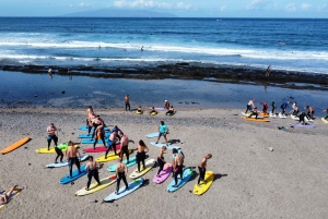 Tenerife : Surf lesson in Playa de las Americas