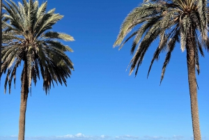 Playa de las Americas: lezione di surf con tutto incluso