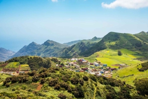 Tenerife: Taganana, Candelaria y excursión al bosque de Anaga