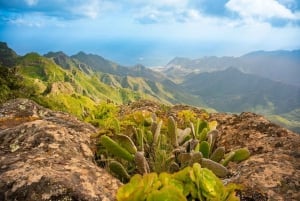 Tenerife: Taganana, Candelaria y excursión al bosque de Anaga