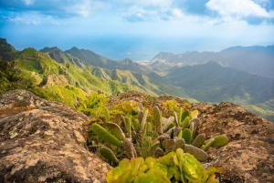 Tenerife: Taganana, Candelaria & Anaga Forest Tour