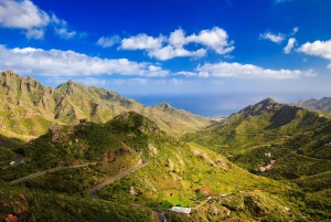 Tenerife: Taganana, Candelaria & Anaga Forest Tour