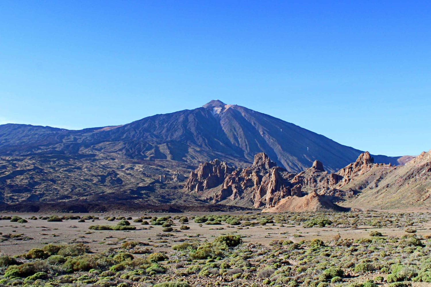Tenerife: Teide y Las Cañadas Tour de medio día