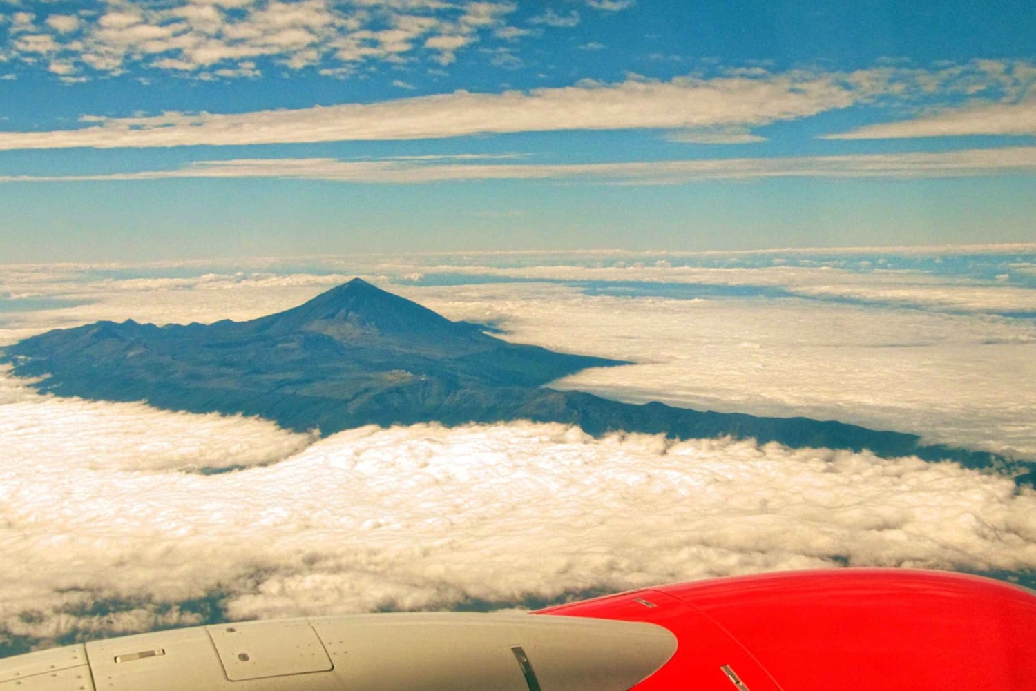 Tenerife: Teide y Las Cañadas Tour de medio día