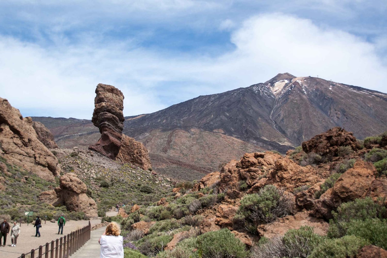 Tenerife: Teide y Las Cañadas Tour de medio día