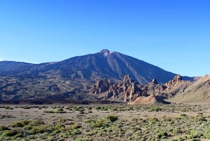 Tenerife: Teide y Las Cañadas Tour de medio día