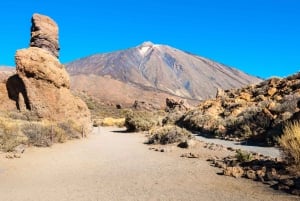 Tenerife: Teide y Las Cañadas Tour de medio día
