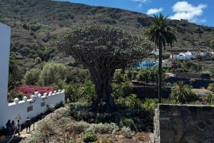 Tenerife: Teide, Garachico, Icod, and Masca Full-Day Tour