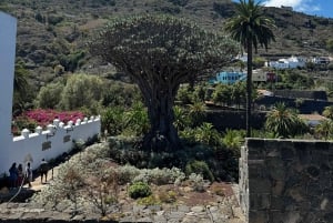 Teneryfa: Teide, Garachico, Icod i Masca - całodniowa wycieczka