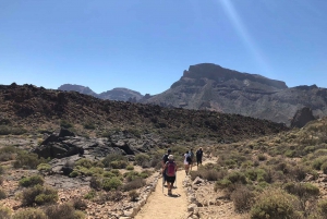 Tenerife : Teide Hiking