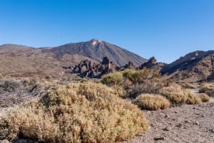 Tenerife : Teide Hiking