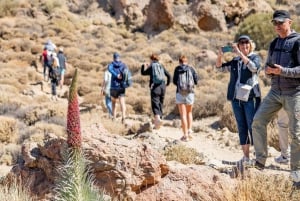 Tenerife : Teide Hiking