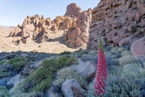 Tenerife : Teide Hiking