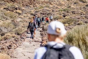 Tenerife : Teide Hiking