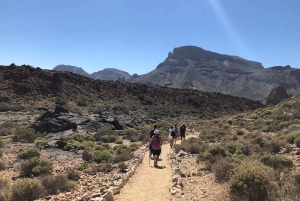 Tenerife : Teide Wandelen