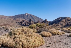 Tenerife : Teide Wandelen