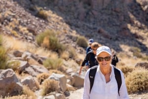 Tenerife : Teide Wandelen
