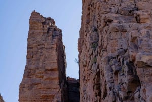 Tenerife : Teide Wandelen