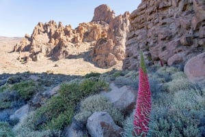 Tenerife : Teide Wandelen