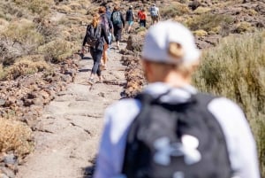 Tenerife : Teide Wandelen