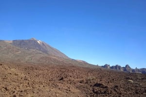 Tenerife: Tour Teide, Icod de los Vinos, Garachico y Masca
