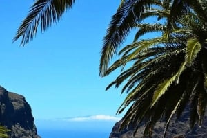 Tenerife: Tour Teide, Icod de los Vinos, Garachico y Masca