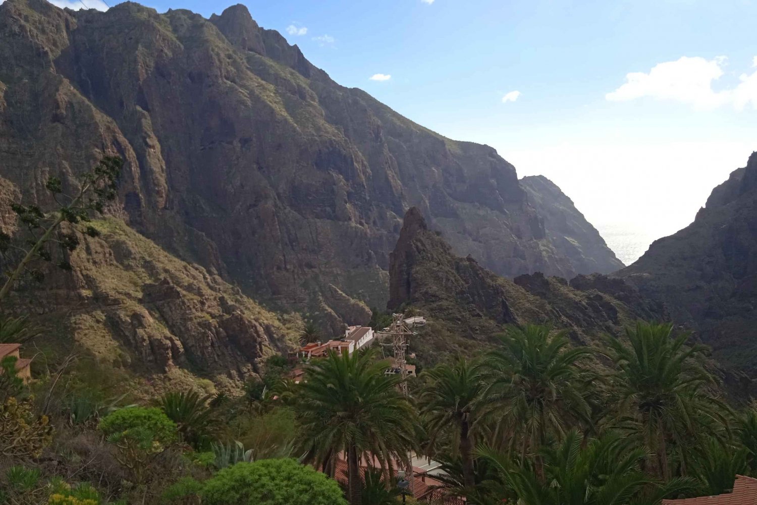 Tenerife: Tur til Teide, Icod de los Vinos, Garachico og Masca