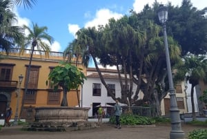 Tenerife: Teide, Icod de los Vinos, Garachico & Masca Tour