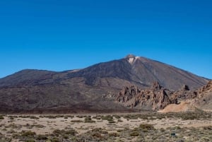 Balades Découverte Teide - La Orotava - Icod de los Vinos